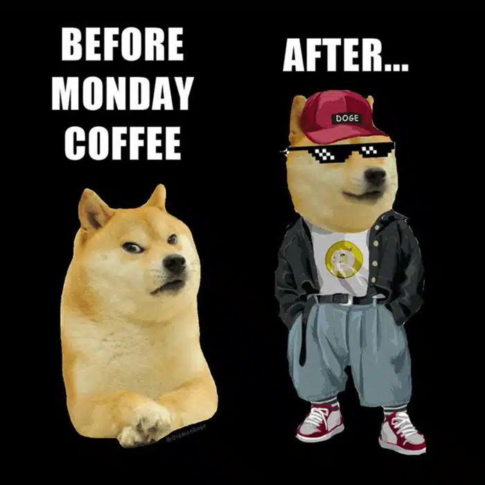 Doge Meme 