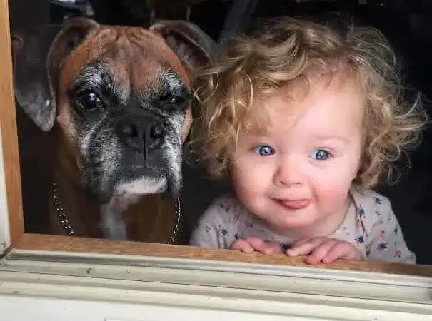 Pictures That Show Kids and Dogs Are Meant For Each Other