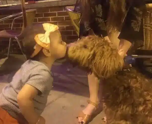 Show Kids and Dogs