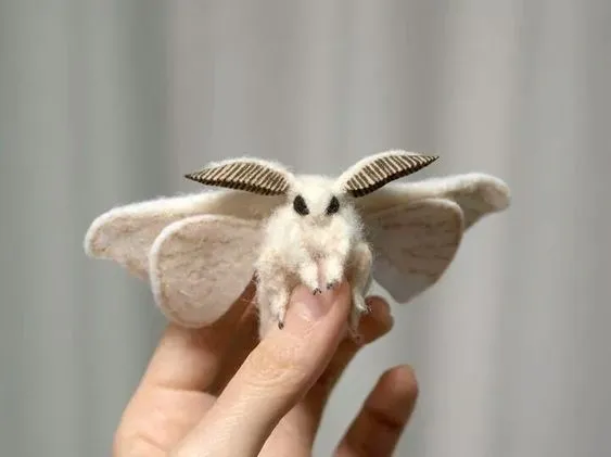 Venezuelan Poodle Moth
