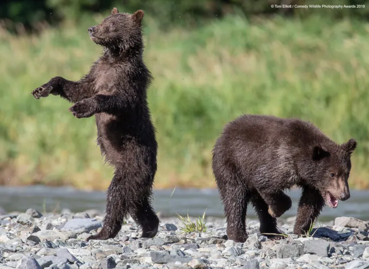  Learning To Walk Like Humans
