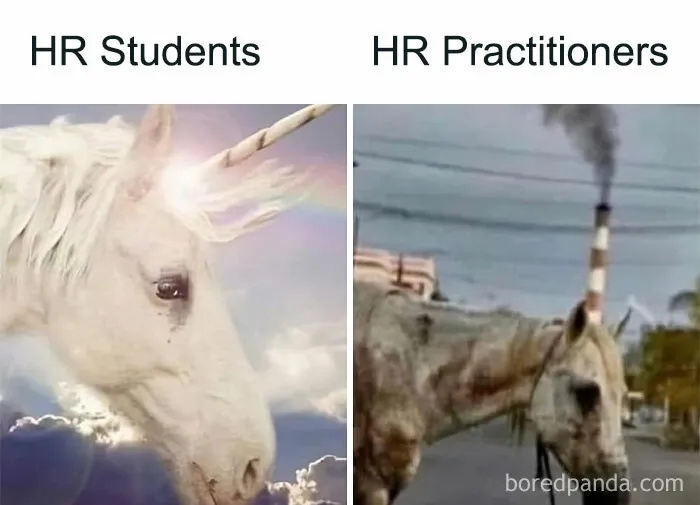 Classic HR Meme