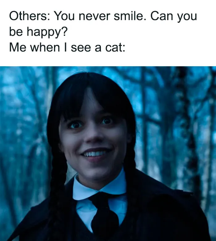 Wednesday Addams Memes