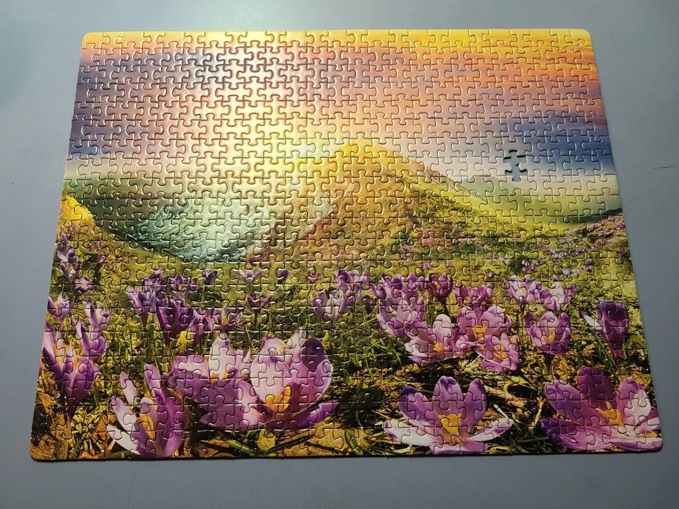 499 Pieces
