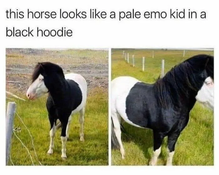 Thanks, I Hate Emo Horse
