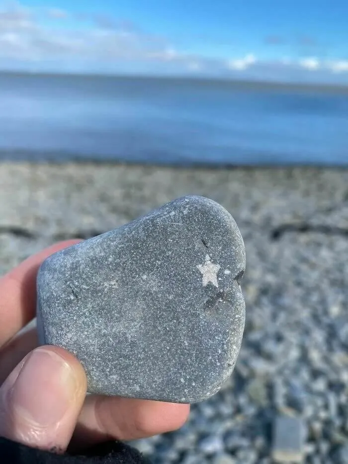 An Almost Perfect Star Shape Found in a Rock on the Beach
