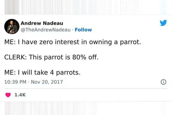 Four Parrots, Please